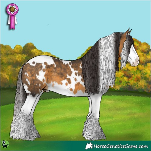 Horse Color:White Spotted Buckskin Splash 