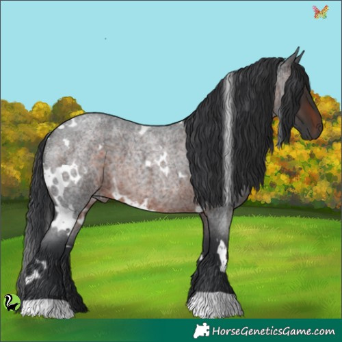 Horse Color:White Spotted Brown Roan 