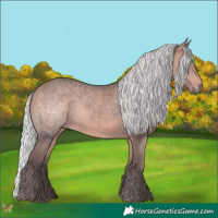 Horse Color:Platinum Silver Bay 