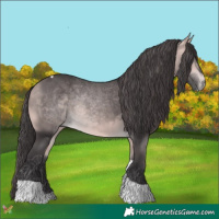 Horse Color:Platinum Buckskin Tobiano 