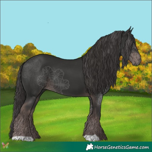 Horse Color:Platinum Liver Chestnut