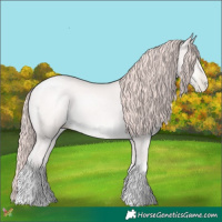 Horse Color:Platinum Buckskin Pearl Tobiano 
