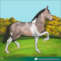 Horse Color:Platinum Bay Tobiano 