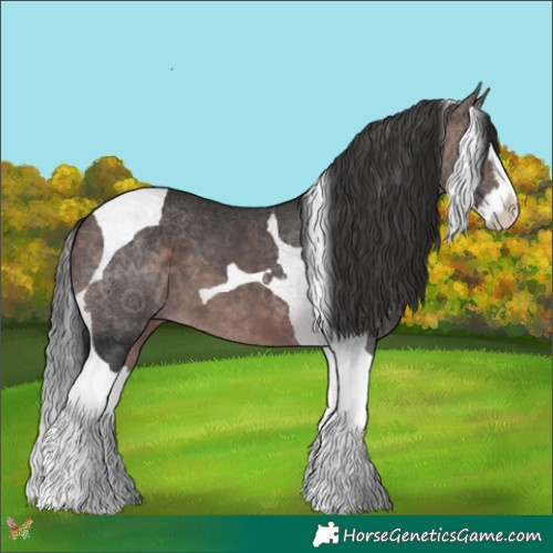 Horse Color:Platinum Bay Splash Tobiano 