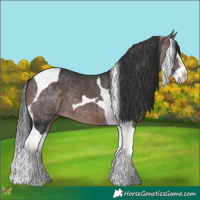 Horse Color:Platinum Bay Splash Tobiano 