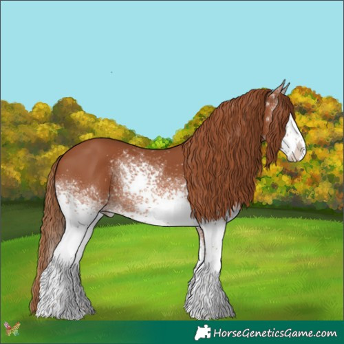 Horse Color:White Spotted Chestnut Splash 