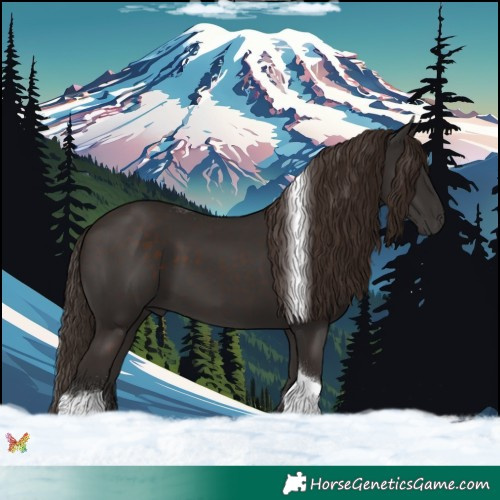 Horse Color:Liver Chestnut Tobiano Rabicano 