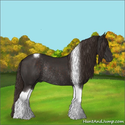Horse Color:Liver Chestnut Tobiano Rabicano 
