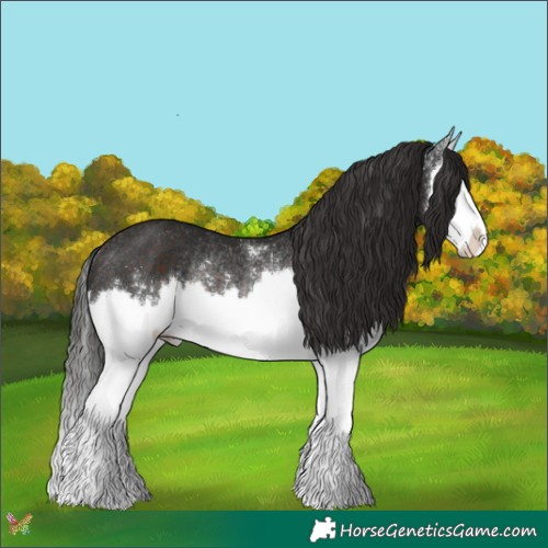 Horse Color:White Spotted Liver Chestnut Splash Rabicano 