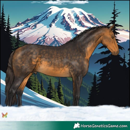 Horse Color:Buckskin 