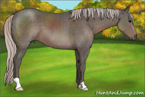 Horse Color:Silver Black 