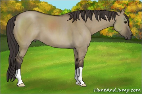 Horse Color:Smoky Grullo 