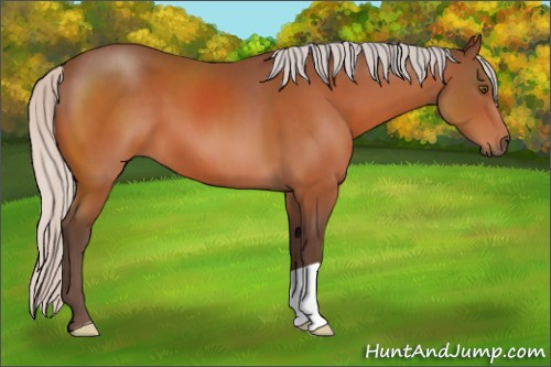 Horse Color:Silver Brown 