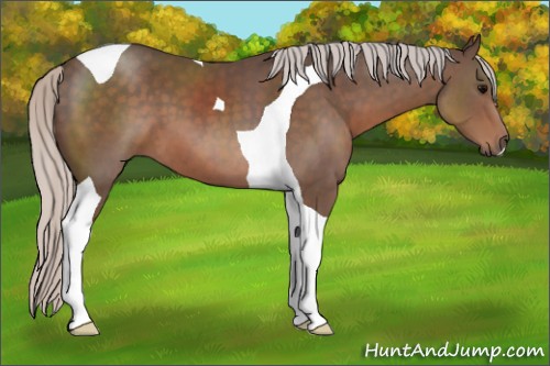 Horse Color:Silver Black Tobiano 