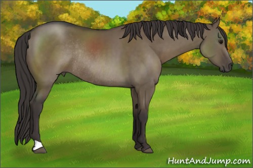 Horse Color:Smoky Grullo Rabicano 