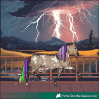 Horse Color:Painted White Spotted Liver Red Dun 