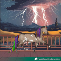 Horse Color:Painted White Spotted Liver Red Dun 