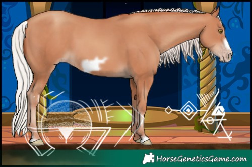 Horse Color:Silver Sable Champagne Frame