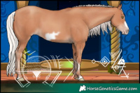 Horse Color:Silver Sable Champagne Frame 
