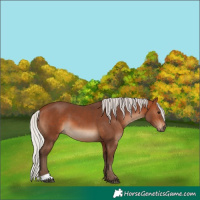 Horse Color:Silver Brown
