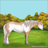 Horse Color:Silver Amber Champagne Frame 