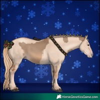 Horse Color:Red Dun  and Gold Champagne Dun 