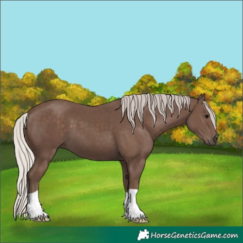 Horse Color:Silver Black 
