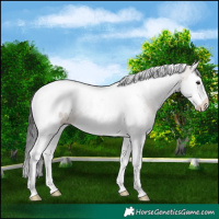 Horse Color:White Spotted Brown Dun Splash Tobiano 