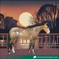 Horse Color:White Spotted Buckskin Dun Sabino Rabicano
