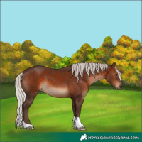 Horse Color:Silver Brown 
