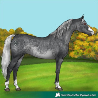 Horse Color:Silver Black Chinchilla 