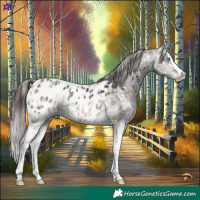 Horse Color:Chocolate Palomino Pearl Mushroom Sabino Splash Appaloosa  and White Spotted Liver Chestnut Splash Appaloosa 