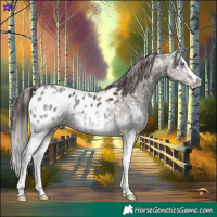 Horse Color:Chocolate Palomino Pearl Mushroom Sabino Splash Appaloosa  and White Spotted Liver Chestnut Splash Appaloosa 