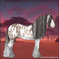 Horse Color:Bay Dun Sabino Splash Appaloosa  and Brown Dun Sabino Splash Appaloosa 