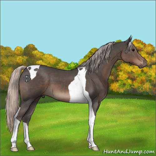 Horse Color:Silver Black Tobiano 