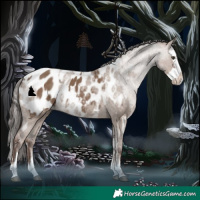 Horse Color:Liver Red Dun Sabino Splash Blanket and Liver Red Dun Roan Splash Blanket