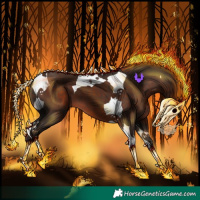 Horse Color:Liver Chestnut Tobiano 