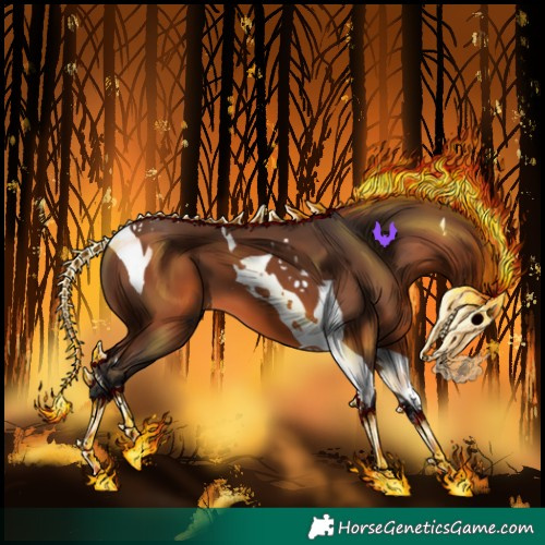 Horse Color:Bay Tobiano 