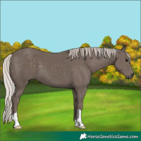 Horse Color:Silver Black 