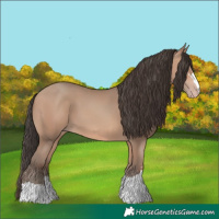 Horse Color:Amber Champagne 