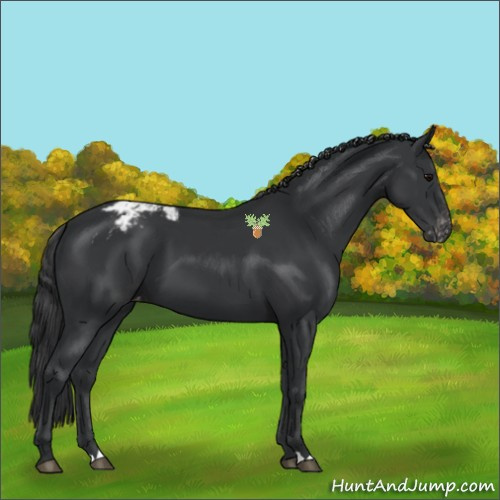 Horse Color:Black Varnish