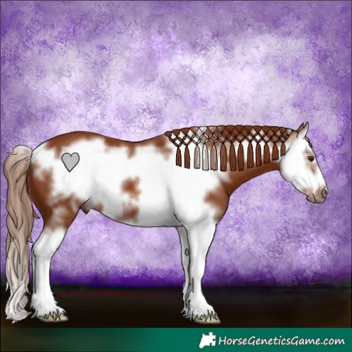 Horse Color:Chestnut Splash Frame 