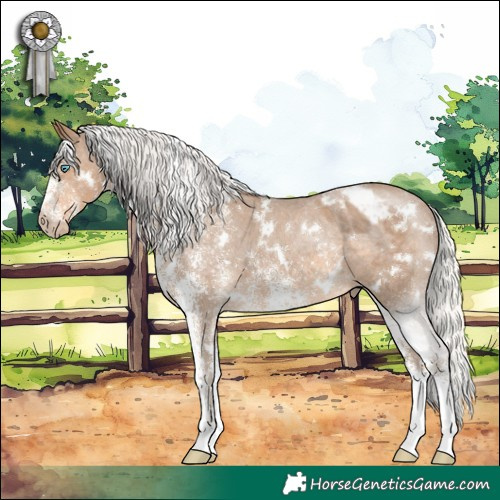 Horse Color:Gray White Spotted Silver Smoky Creme Blanket Rabicano 