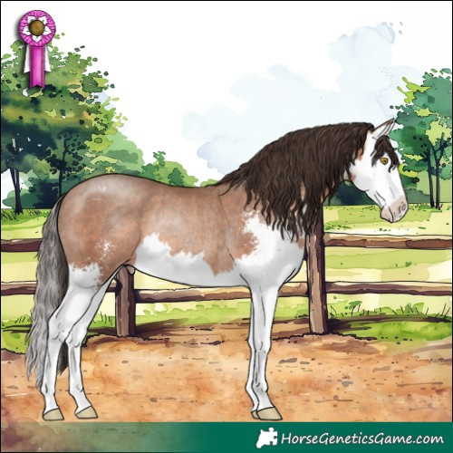 Horse Color:Sable Champagne Sabino Splash Rabicano 