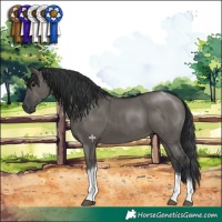 Horse Color:Grullo Tobiano 