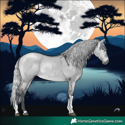 Horse Color:Silver Brown Chinchilla Dun Tobiano 