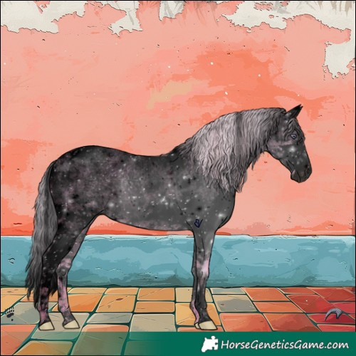 Horse Color:Void Plaid  Chocolate Silver Grullo Chinchilla Roan Splash Tobiano Rabicano 