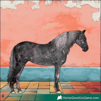 Horse Color:Void Plaid  Chocolate Silver Grullo Chinchilla Roan Splash Tobiano Rabicano 