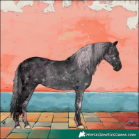 Horse Color:Void Plaid  Chocolate Silver Grullo Chinchilla Roan Splash Tobiano Rabicano 