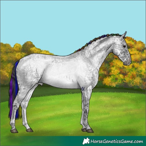 Horse Color:Painted Blue Ice Roan 